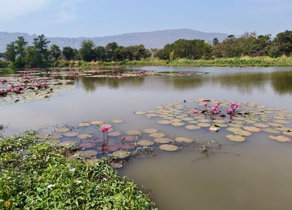 Gram Panchayat Navaze